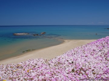 castelsardo_strand_ampurias.jpg
