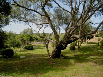 sardinie - appartement in agriturismo - sardinia4all (1).jpg