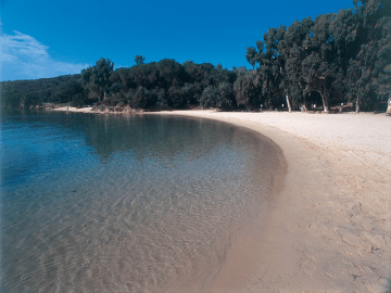 15_orso_spiaggia2_rgb_bassa.png