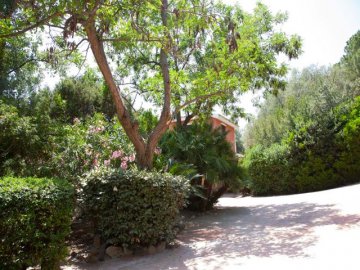 vakantiehuis-sardinie-villa-smilax (11).jpg