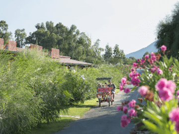 orti-di-nora-pula-sardinia4all (4).png