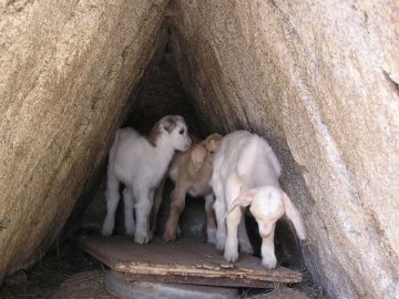 cerra_agriturismo_sardinie_2.jpg
