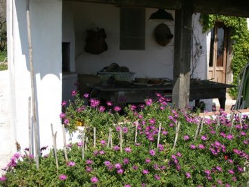 cerra_agriturismo_sardinie_4.jpg