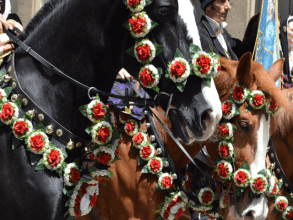 Sant Efisio (Foto S4A)