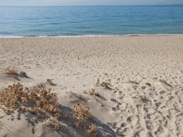 geremeas - vakantiehuis il carrubo - sardinie.png