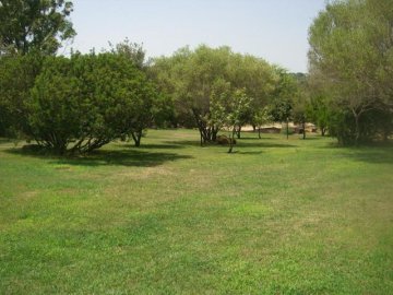 jaddhu_sardinie_2.jpg