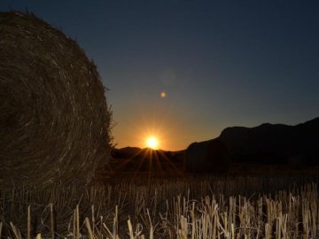 agriturismo-sardinie-saludi-e-trigu (3).jpg
