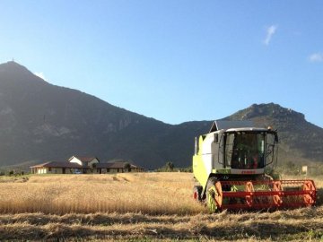 sardinie-agriturismo-saludi-e-trigu (4).jpg