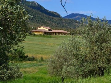 sardinie-agriturismo-saludi-e-trigu (2).jpg