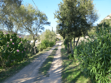 appartement-casa-delle-fate-sardinia4all-9.png