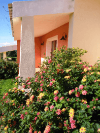agriturismo-lu-salconi-turismo-rurale-sardinie (6).png