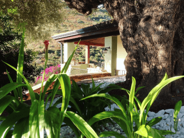 tuin-rondom-villa-mariposa-op-sardinie (1).png