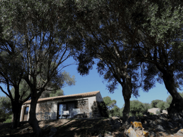 liscia country relais - luras (7).png