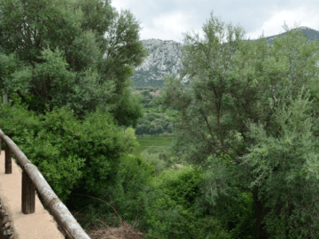 agriturismo sardinie - canales in dorgali (3).png