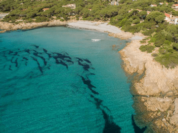 vakantiehuisje orosei, sardinie - ibisco 3 - sardinia4all (1).png