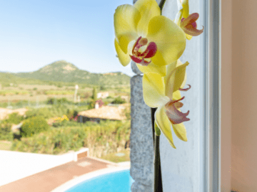 villa tamarice - costa rei - sardinia4all (32).png