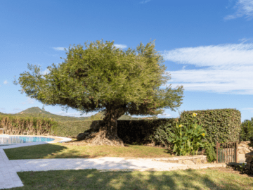 villa tamarice - costa rei - sardinia4all (5).png