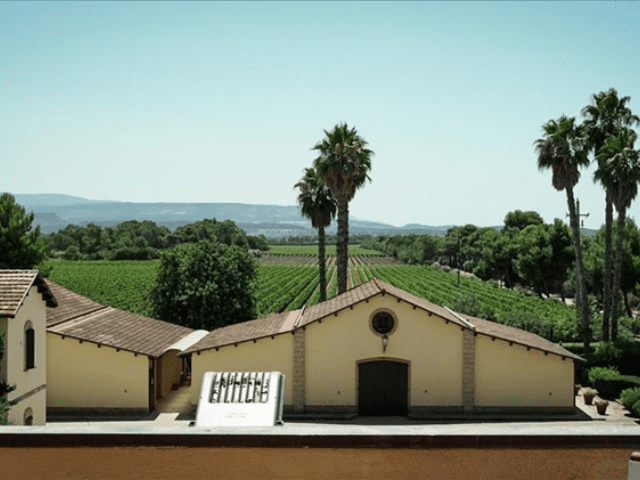 wijnboerderij alghero - casa villamarina - sardinie (1).png