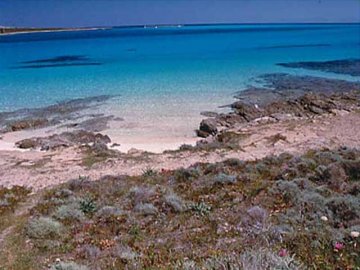 Strand - Stintino - Sassari - Sardinië