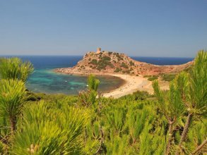 Plattegrond Vakantiepark & Camping Torre del Porticciolo