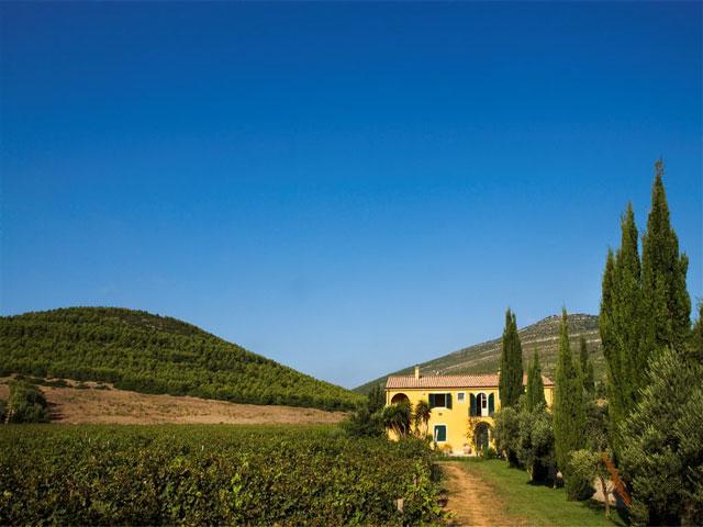 Strada del Gusto - Wine Resort Leda d' Ittiri - Sardinië 