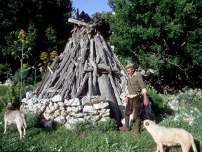 Herders
