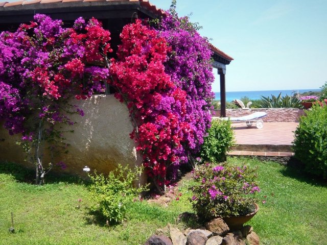 Villa Sara - Costa Corallina 17