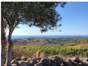 Bed & Wine Anima Sarda
