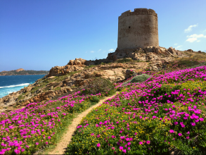 Isola Rossa, Sardinien