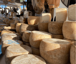 Markt Olbia (Foto Timo)