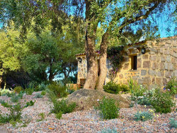 Lu Pastruccialeddu, Sardinie - Sardinia4all (19).png